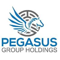 The Pegasus Group, LLC 